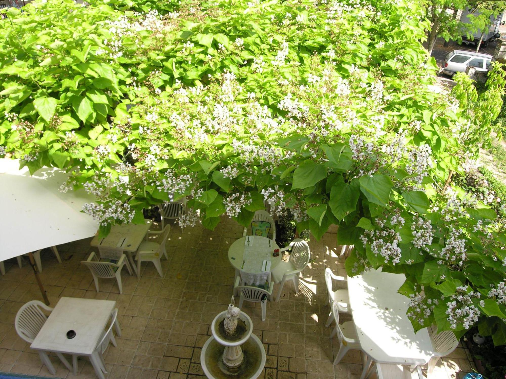 Appart'Hotel Les Tilleuls Saint-Macaire ภายนอก รูปภาพ