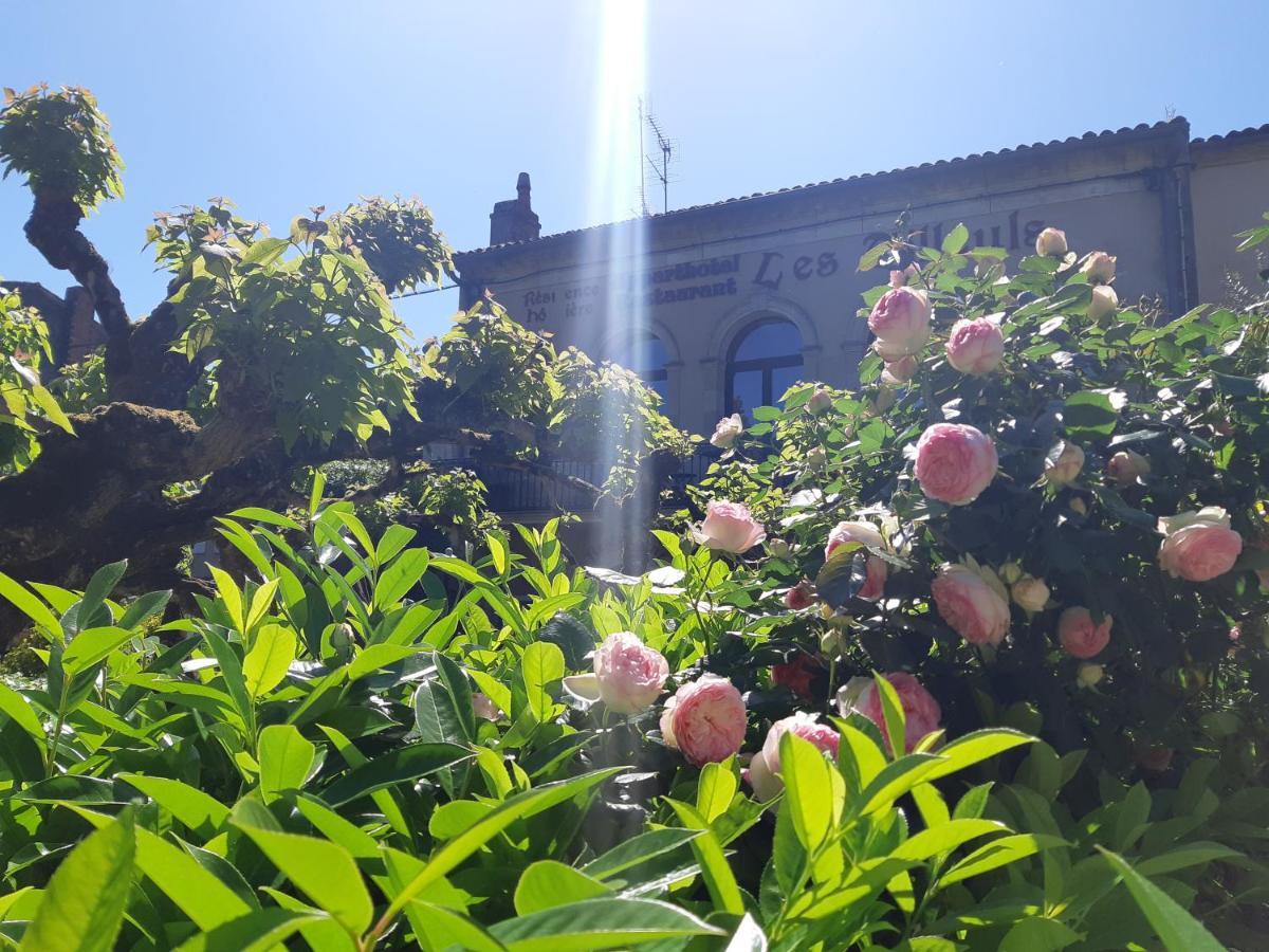 Appart'Hotel Les Tilleuls Saint-Macaire ภายนอก รูปภาพ
